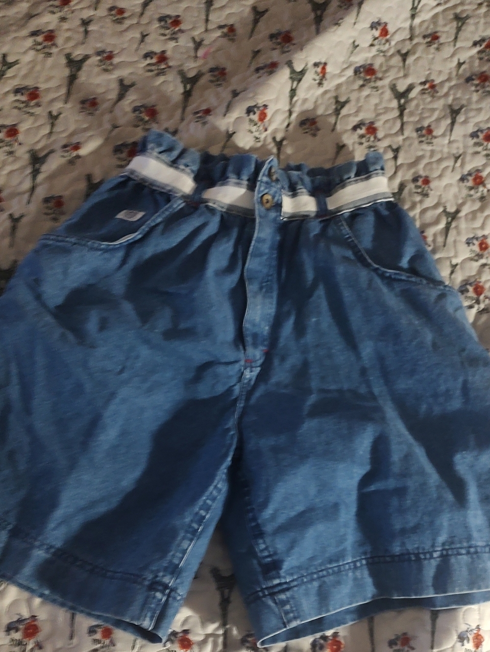 Denim Lee Shorts
